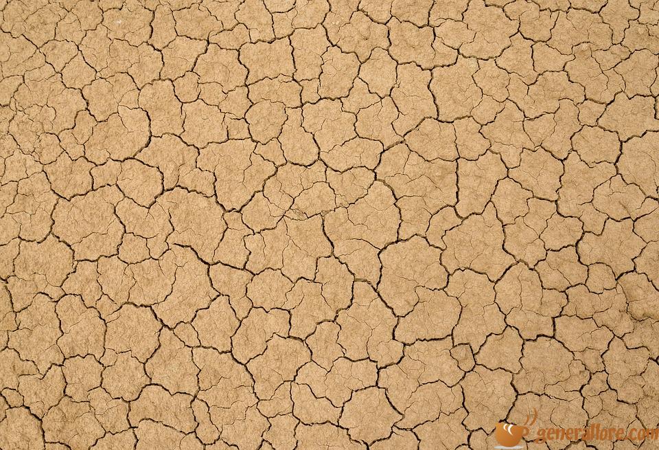 La desertificación: una amenaza constante para la Tierra